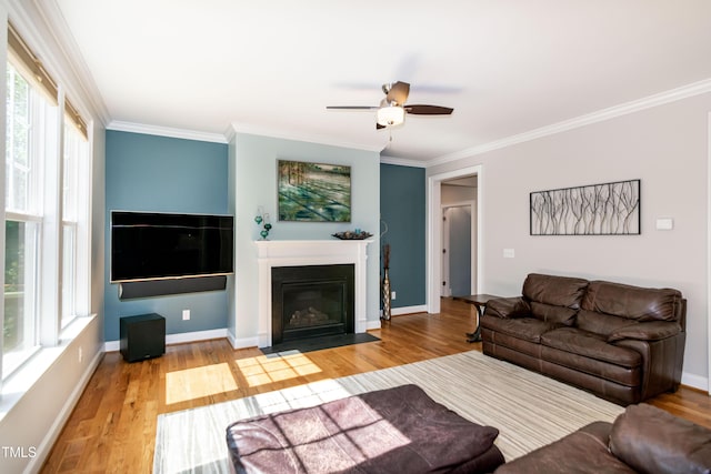 living area with a ceiling fan, a fireplace with flush hearth, ornamental molding, and wood finished floors