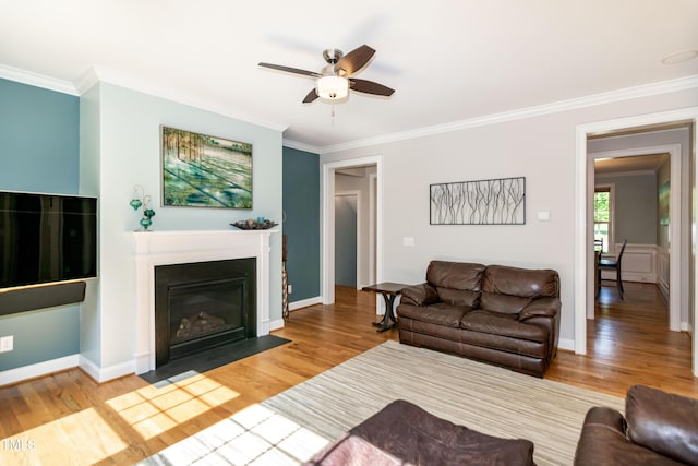 living room with crown molding, a fireplace with flush hearth, ceiling fan, and wood finished floors