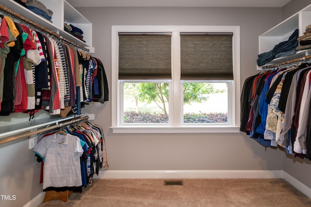 walk in closet featuring visible vents and carpet flooring