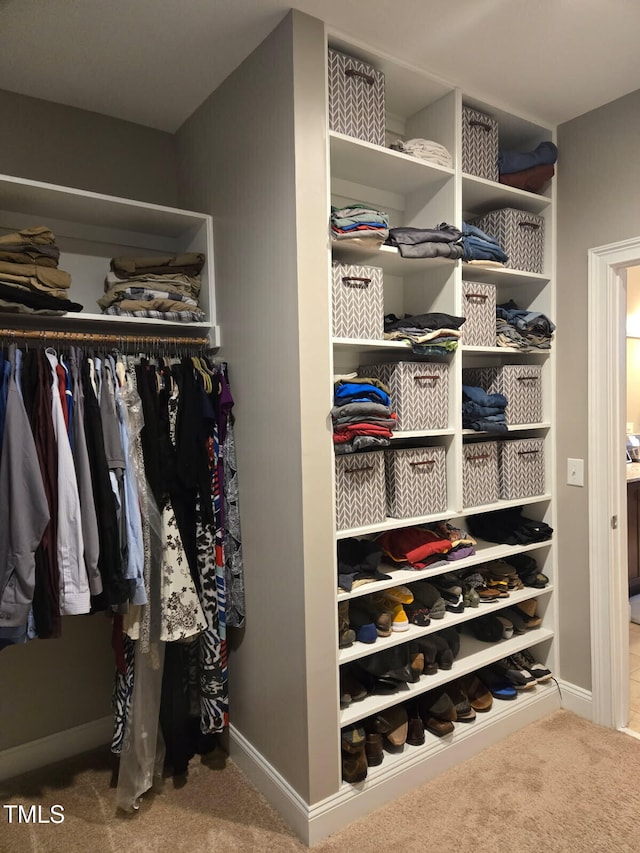 view of closet