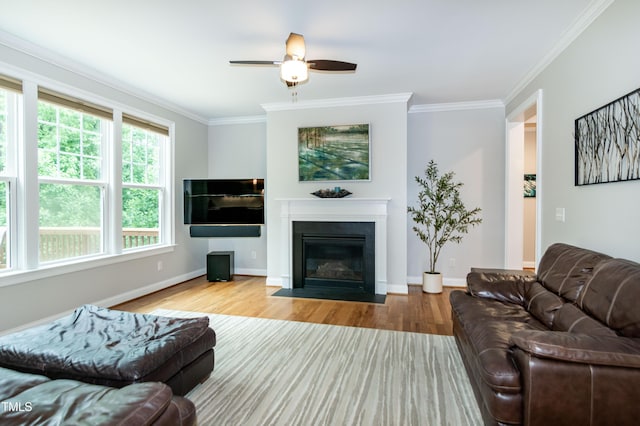 1820 Yates Wheel Way, Raleigh, NC 27606 - living room with wood finished floors, ornamental molding, a fireplace with flush hearth, ceiling fan, and baseboards