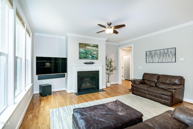 1820 Yates Wheel Way, Raleigh, NC 27606 - living room with ceiling fan, crown molding, wood finished floors, a fireplace with flush hearth, and baseboards
