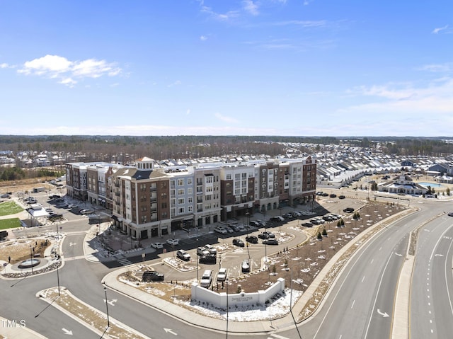 bird's eye view