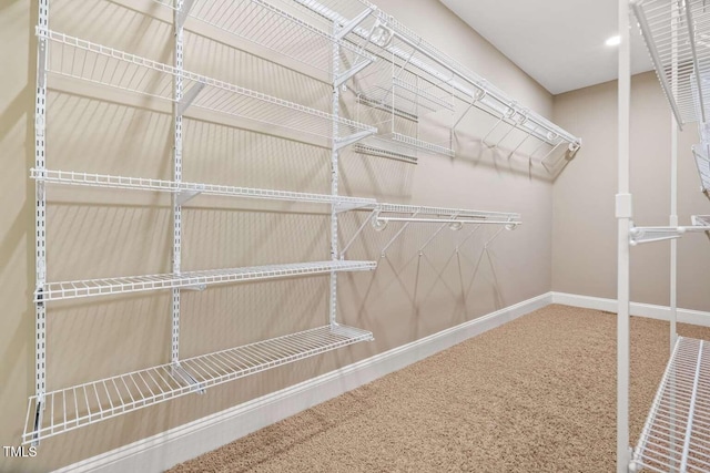 walk in closet with carpet floors