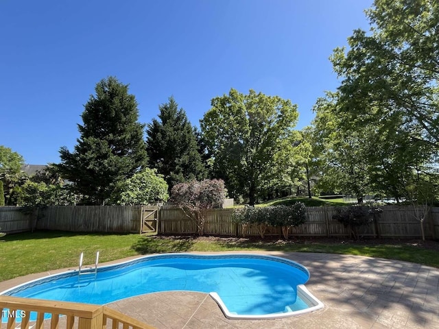 view of pool with a fenced in pool, a patio, a yard, and a fenced backyard