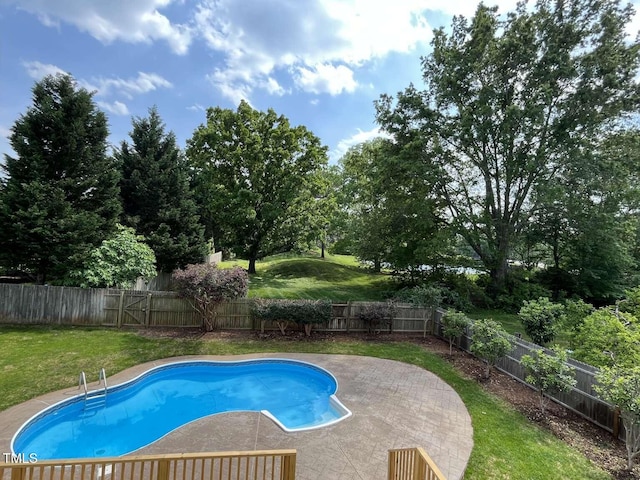102 Traviliah Oaks Ln, Cary, NC 27518 - view of swimming pool featuring a fenced in pool, a fenced backyard, a patio area, and a lawn