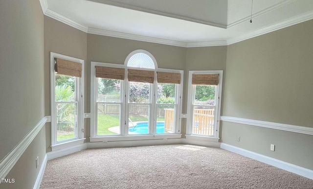 102 Traviliah Oaks Ln, Cary, NC 27518 - carpeted spare room with plenty of natural light, crown molding, and baseboards