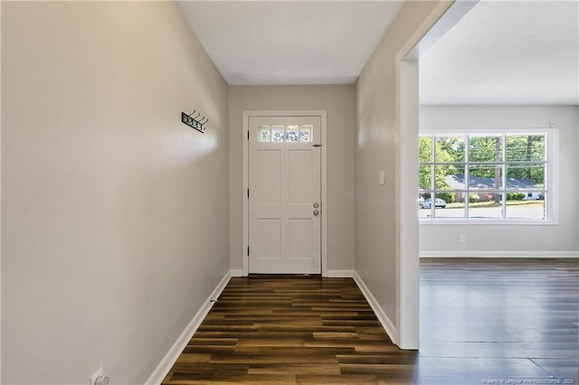 doorway to outside featuring baseboards and dark wood-type flooring