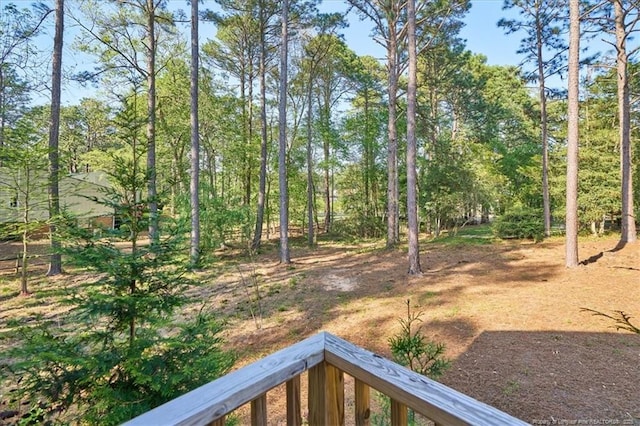 45 Martin Dr, Whispering Pines, NC 28327 - view of yard