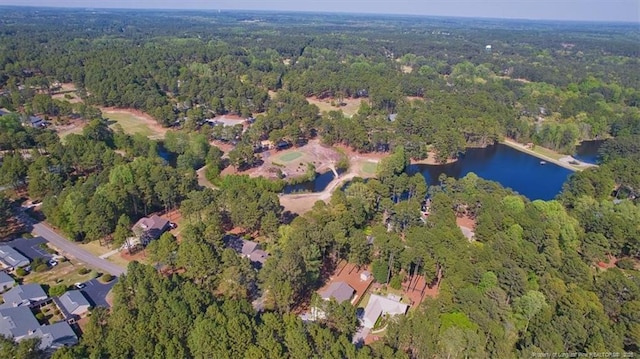 45 Martin Dr, Whispering Pines, NC 28327 - view of property location featuring a heavily wooded area and a large body of water