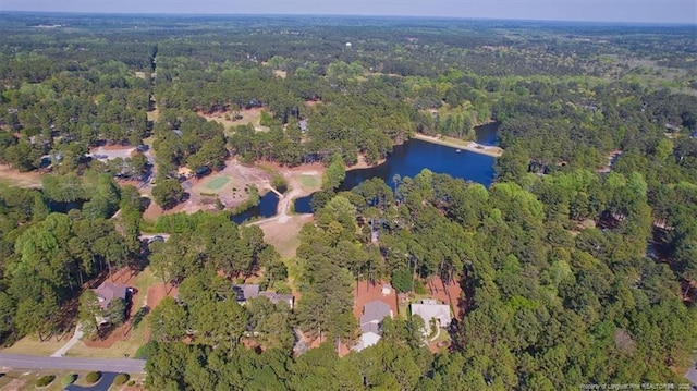 45 Martin Dr, Whispering Pines, NC 28327 - aerial view of property's location featuring a heavily wooded area and a nearby body of water