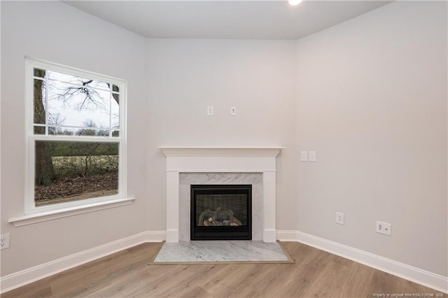 details featuring baseboards, wood finished floors, and a premium fireplace