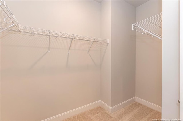 spacious closet with carpet flooring