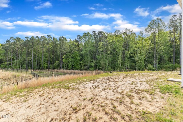 536 Gusty Ln, Zebulon, NC 27597 - photo 41