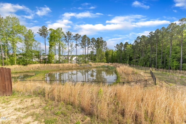 536 Gusty Ln, Zebulon, NC 27597 - photo 42