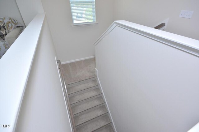 490 Mallard Loop Dr, Clayton, NC 27527 - stairway with carpet flooring