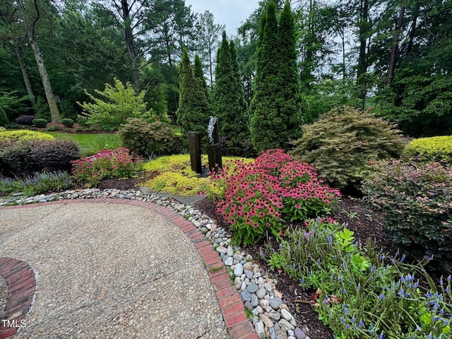 3203 Cameron Dr, Henderson, NC 27536 - photo 63