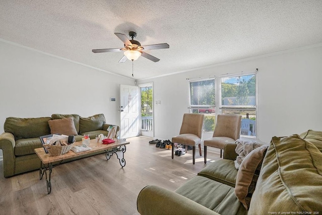 living room featuring wood finished floors, a textured ceiling, and crown molding