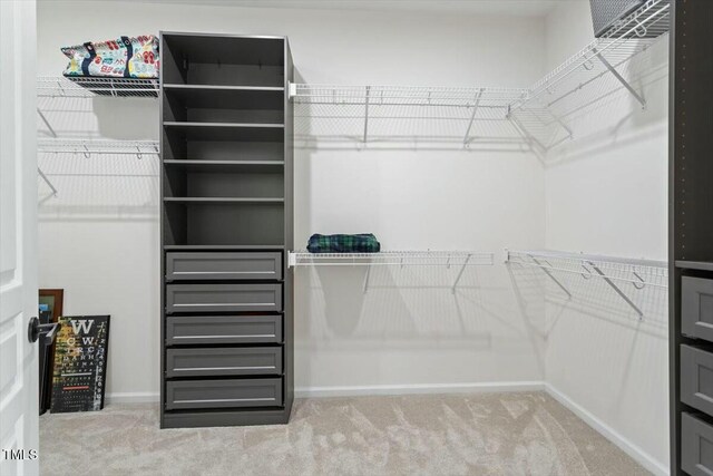 803 Footbridge Pl, Cary, NC 27519 - spacious closet with carpet floors