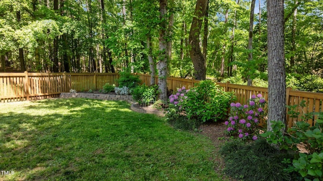 view of yard featuring a fenced backyard