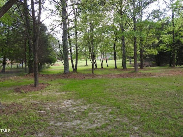 1165 John Mitchell Rd, Youngsville, NC 27596 - view of yard