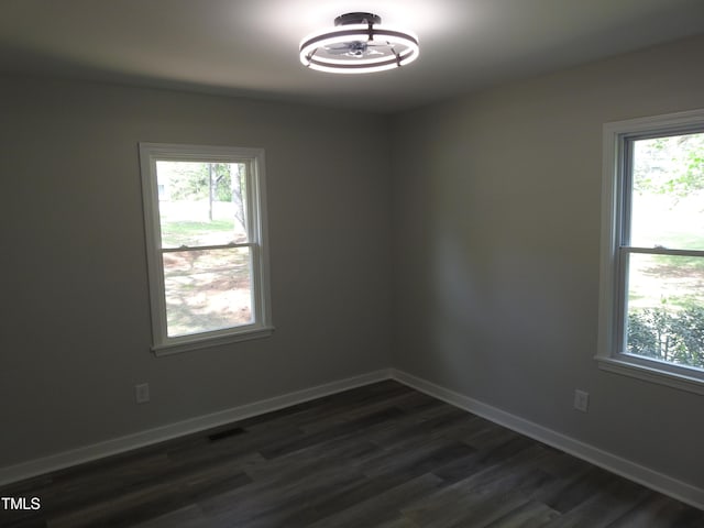 1165 John Mitchell Rd, Youngsville, NC 27596 - spare room featuring baseboards, dark wood finished floors, and a wealth of natural light