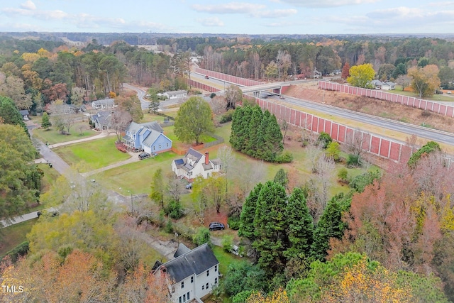 bird's eye view