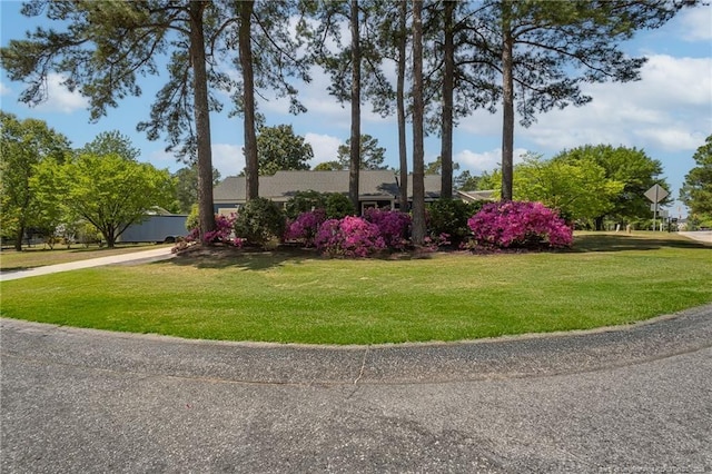 204 Bayfield Loop, Fayetteville, NC 28314 - view of front of house with a front lawn