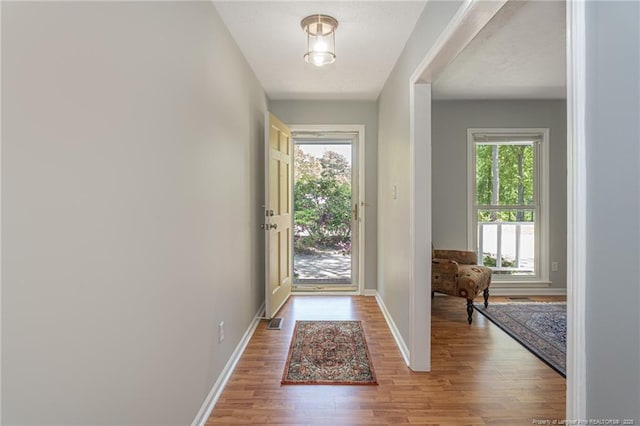 204 Bayfield Loop, Fayetteville, NC 28314 - entrance foyer with plenty of natural light, wood finished floors, and baseboards