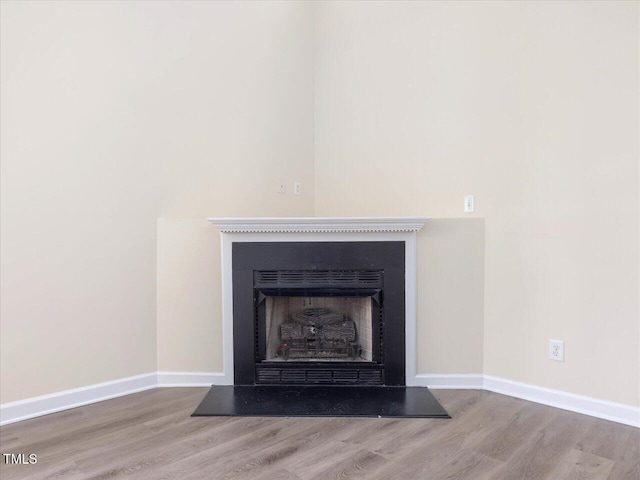 detailed view of wood finished floors, a fireplace, and baseboards