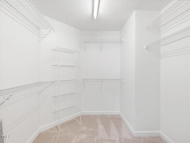 walk in closet with carpet flooring