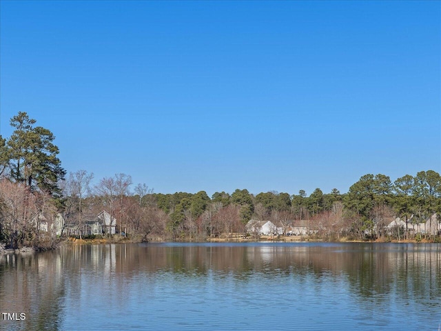 water view featuring a forest
