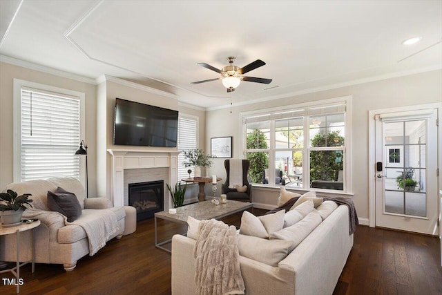 living room featuring ceiling fan, dark wood finished floors, a glass covered fireplace, baseboards, and ornamental molding