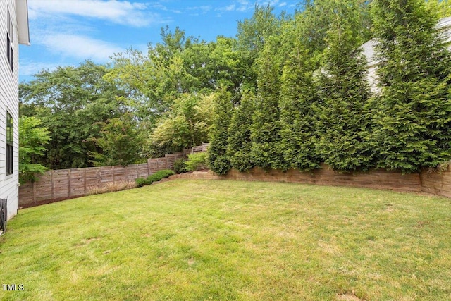view of yard with a fenced backyard