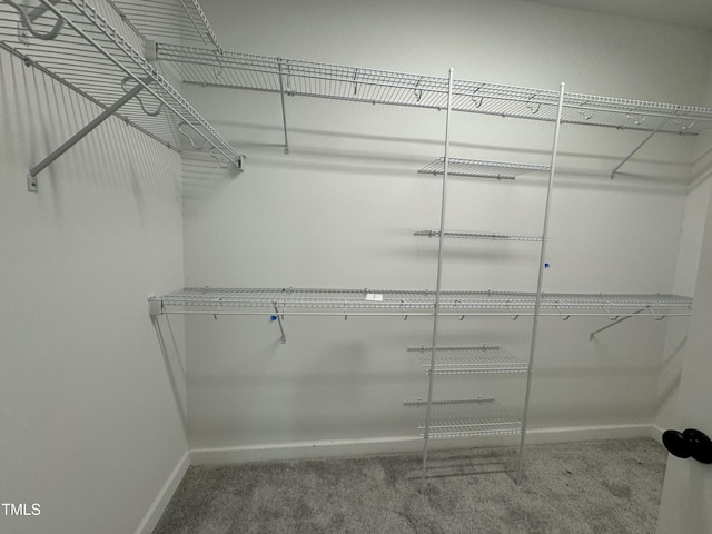 3803 Huntcliff Dr, La Grange, NC 28551 - spacious closet with carpet flooring
