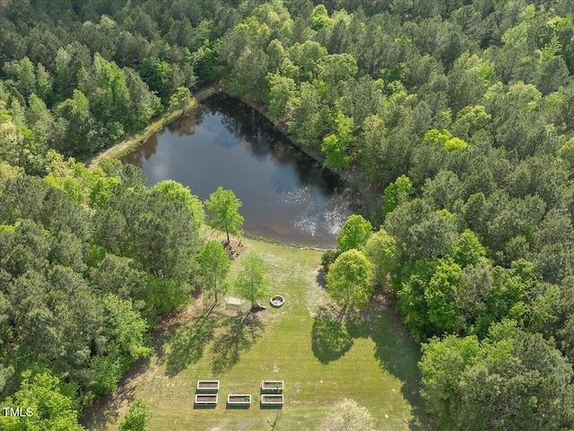 1656 NC-42 Hwy, Moncure, NC 27559 - photo 54