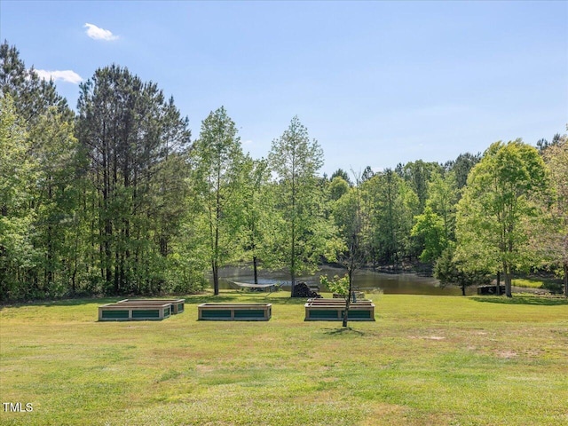 1656 NC-42 Hwy, Moncure, NC 27559 - photo 30