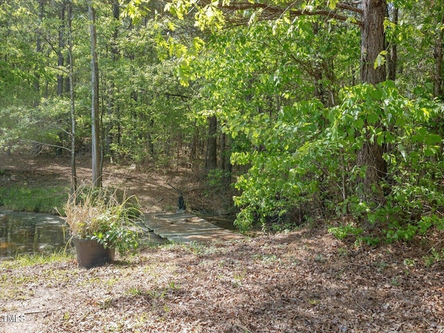 1656 NC-42 Hwy, Moncure, NC 27559 - photo 35