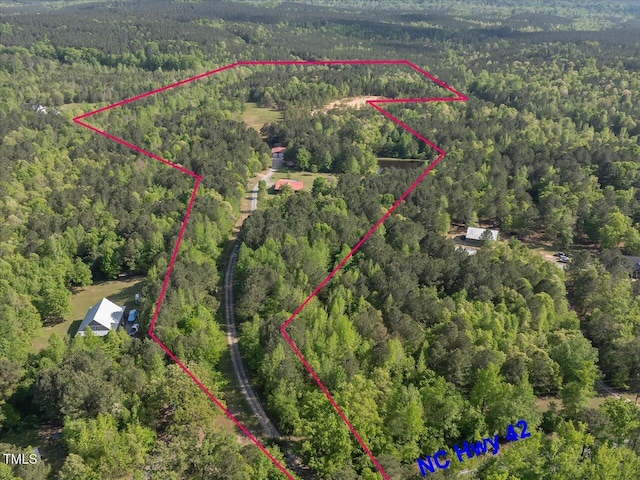 1656 NC-42 Hwy, Moncure, NC 27559 - photo 59