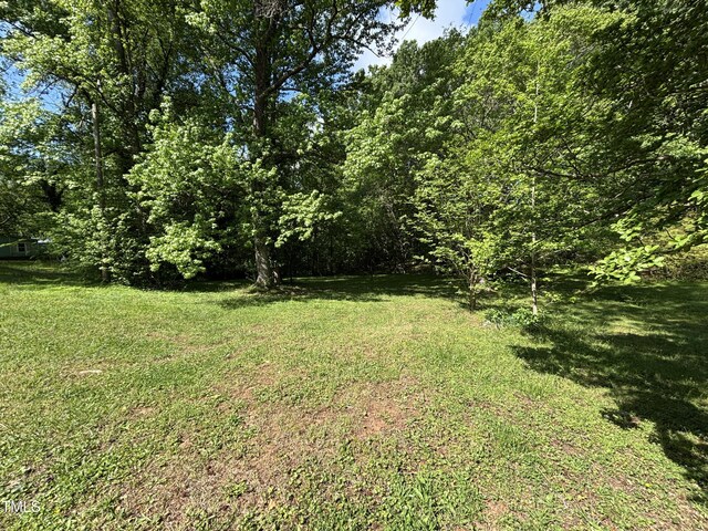 311 N Nash St, Hillsborough, NC 27278 - photo 10