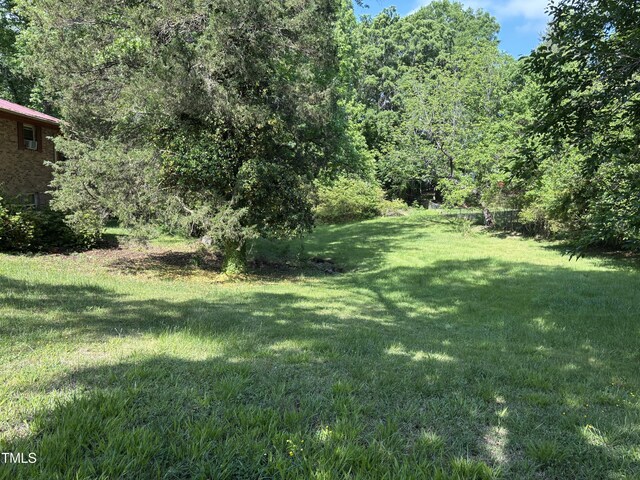 311 N Nash St, Hillsborough, NC 27278 - photo 11