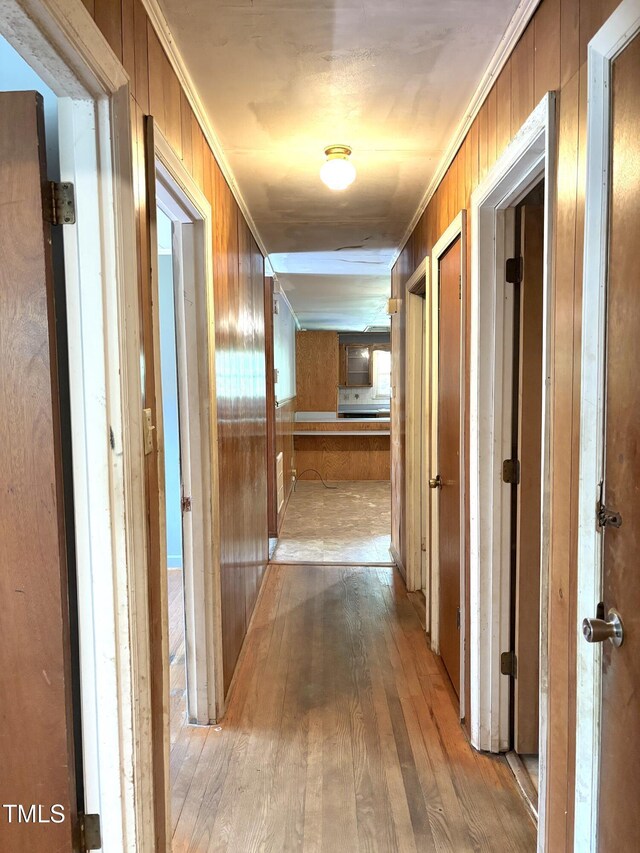 311 N Nash St, Hillsborough, NC 27278 - photo 19