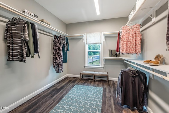 spacious closet featuring wood finished floors