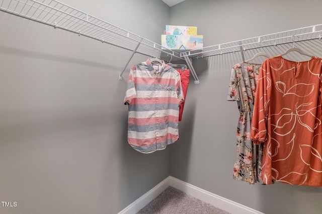 walk in closet with carpet flooring