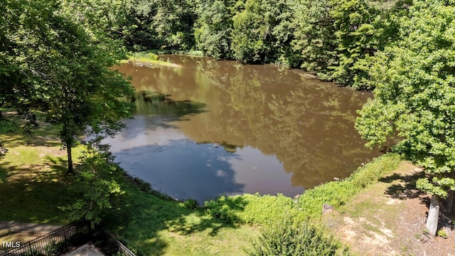 2409 Beechview Ct, Raleigh, NC 27615 - water view