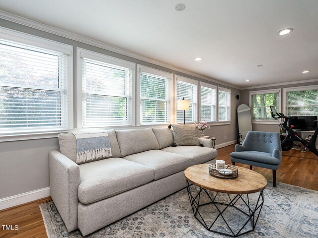 living room featuring baseboards, ornamental molding, and wood finished floors