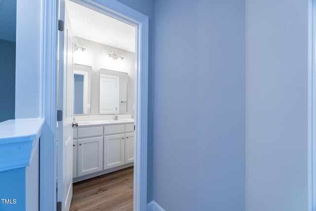 bathroom with double vanity, wood finished floors, and a sink