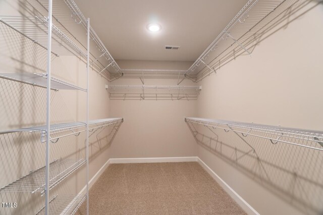 spacious closet featuring carpet and visible vents