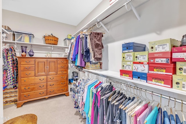 704 Haven Peak Ln, Wake Forest, NC 27587 - walk in closet featuring carpet floors