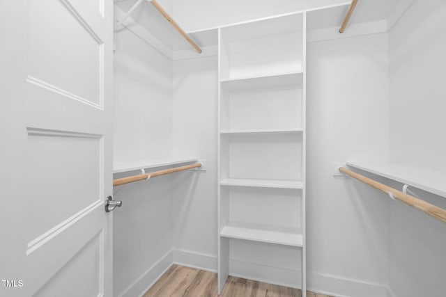 walk in closet featuring wood finished floors